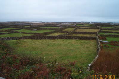 Fields on Inis Meain